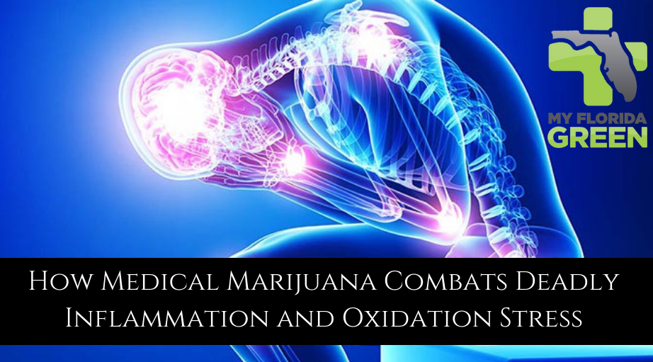 HOW MEDICAL MARIJUANA FUNCTIONS AS AN ANTIOXIDANT AND ANTIINFLAMMATORY