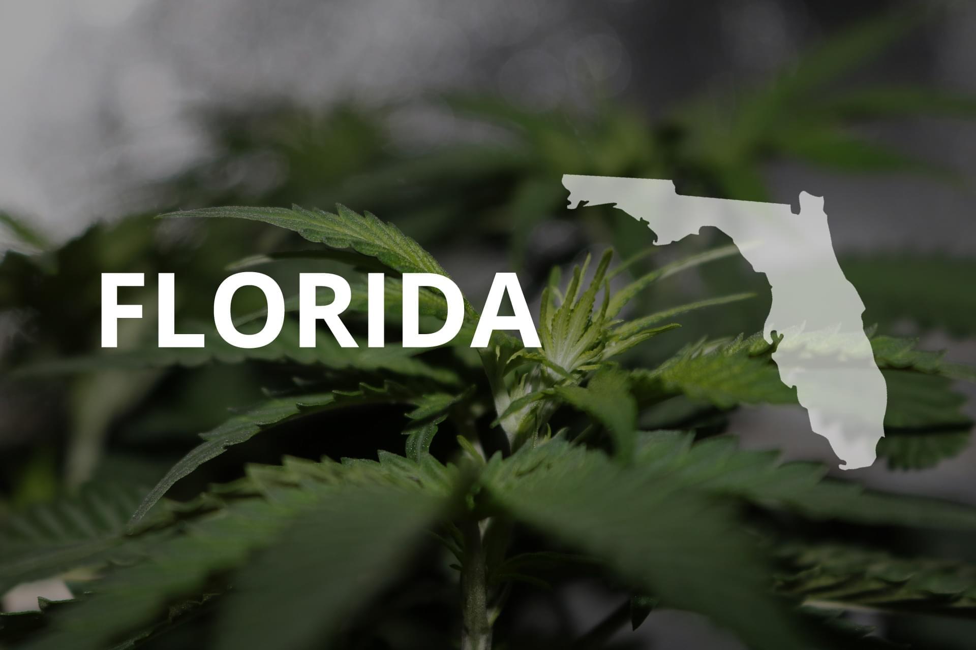 WHICH FLORIDA MEDICAL MARIJUANA DISPENSARY AND STRAIN IS RIGHT FOR YOU