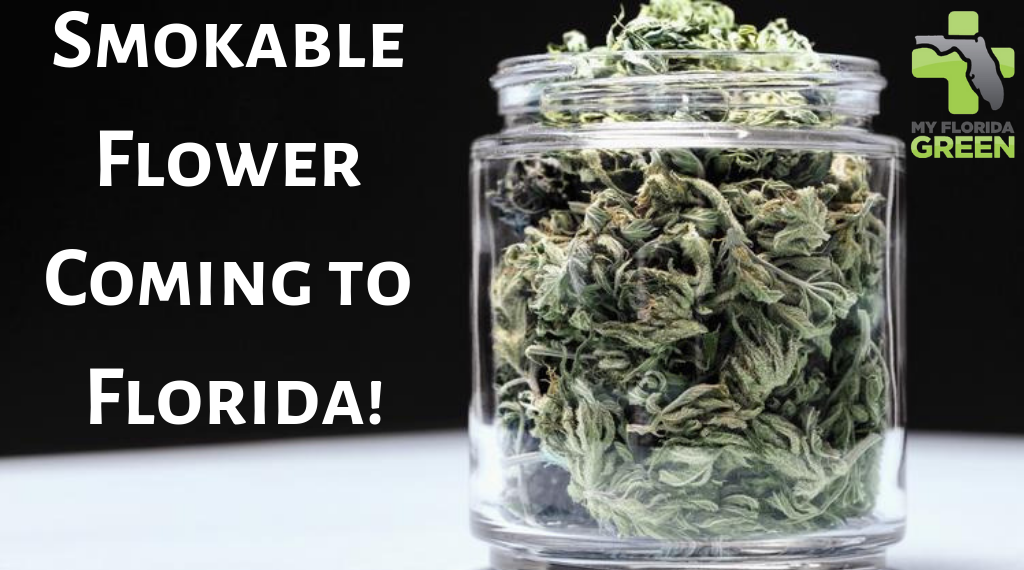 SMOKABLE CANNABIS FLOWER TO BE LEGAL IN FLORIDA! By My Florida Green